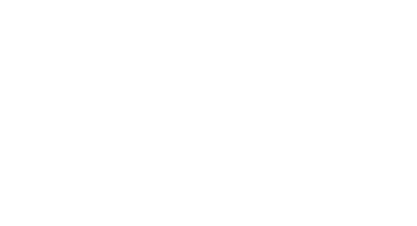 Widebrand Game Logo